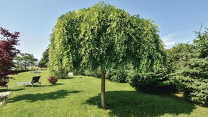 Een verzorgd gazon met een netjes bijgesnoeide boom, een paar tuinstoelen en een kleine struik.