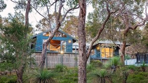 Un chalet rustique doté d’une terrasse en bois, entouré d’arbres et de végétation.