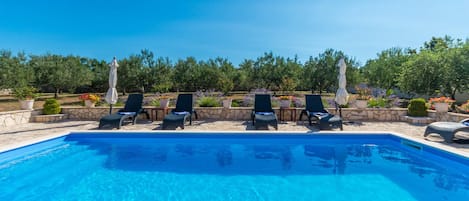 Une piscine entourée de verdure et de plantes en pot, avec des chaises longues et des parasols.
