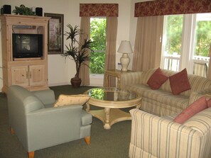 TV, DVD player, stereo