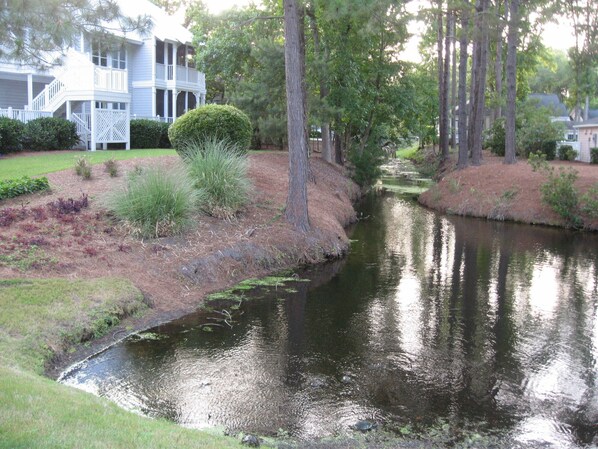 Enjoy a peaceful living environment with a serene waterway meandering through the well-maintained garden.