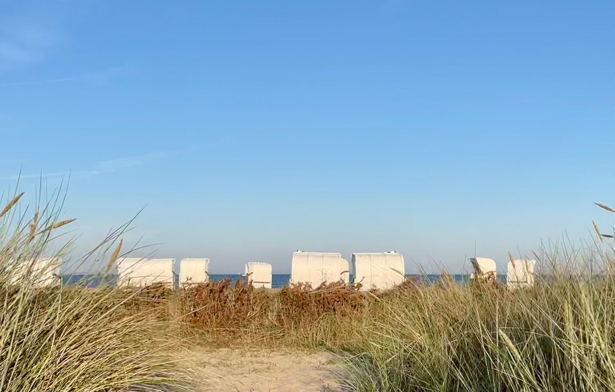 Una playa arenosa con hierba alta en primer plano y estructuras blancas al fondo.