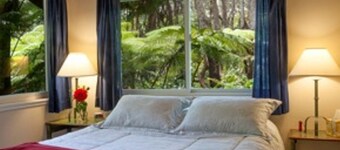 Charming 2 Bedroom Cottage Walking Distance from Volcano Village