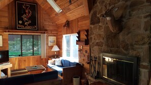 TV, fireplace, books, video library