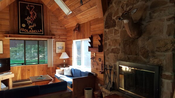 TV, fireplace, books, video library - Seven Springs Cabin - Bear Claw Chalet - Authentic, Pet Friendly Log Cabin (Champion)