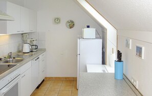 Kühlschrank, Mikrowelle, Herdplatte, Geschirrspüler