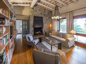 Smart TV, fireplace, table football, books