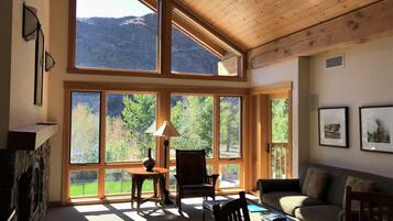 Télévision, cheminée, lecteur de DVD