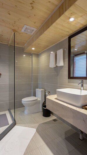 Habitación doble Prestigio, para no fumadores | Baño | Regadera, amenidades de baño gratuitas, secadora de cabello, pantuflas