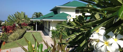 A two-story house with a green roof, surrounded by lush tropical plants and a well-maintained lawn.