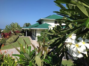 A two-story house with a green roof, surrounded by lush tropical plants and a well-maintained lawn.