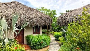 Ein Bungalow mit einem Reetdach, umgeben von üppiger Vegetation und einem Steinweg.