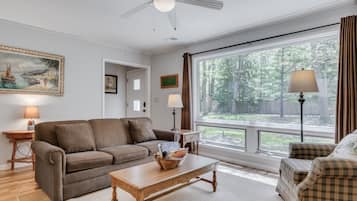 Smart TV, fireplace, books