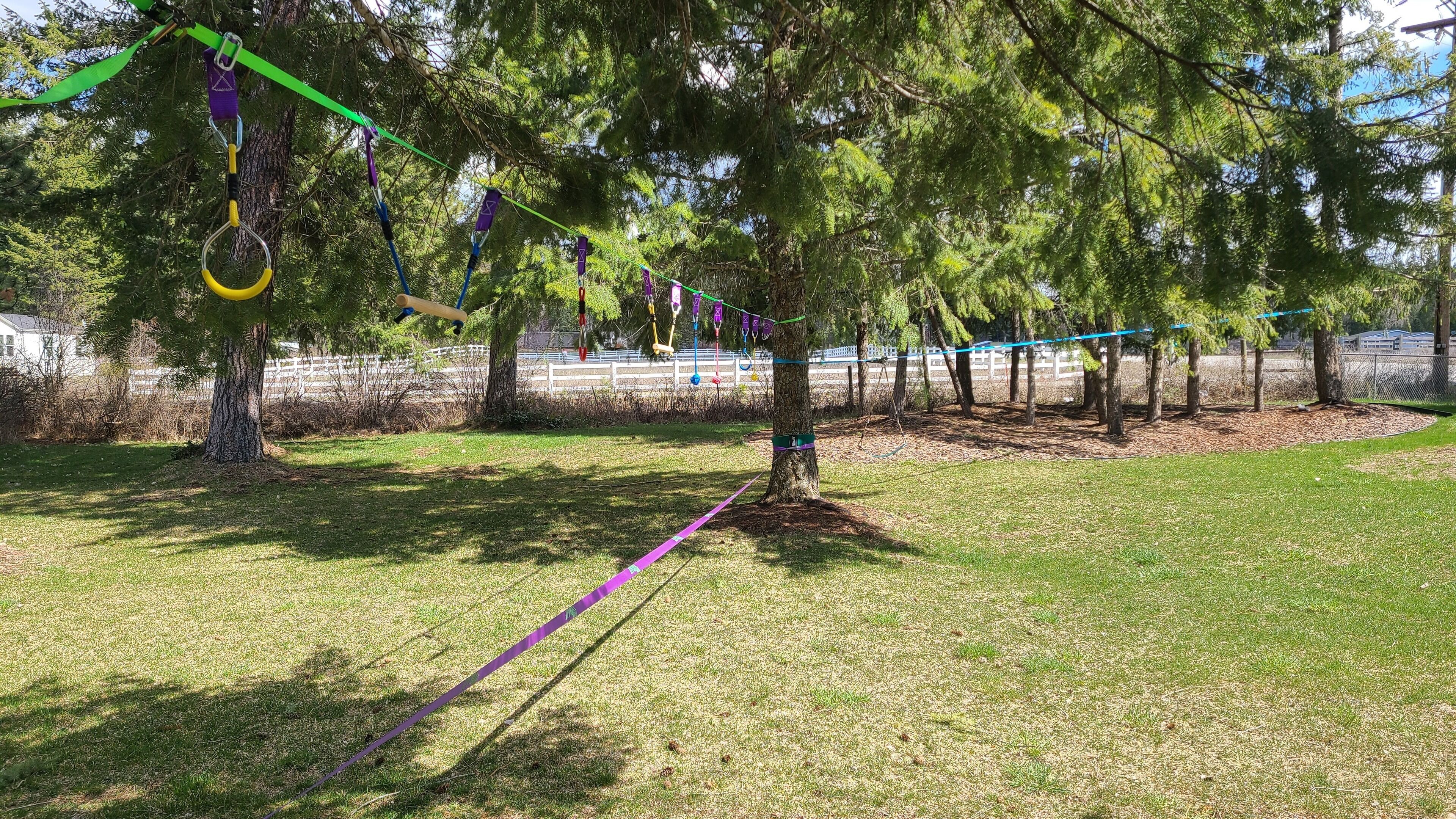 Un parc avec des arbres, une pelouse et un pont de corde.