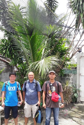 Three people standing in front of a large plant with a fence in the background.