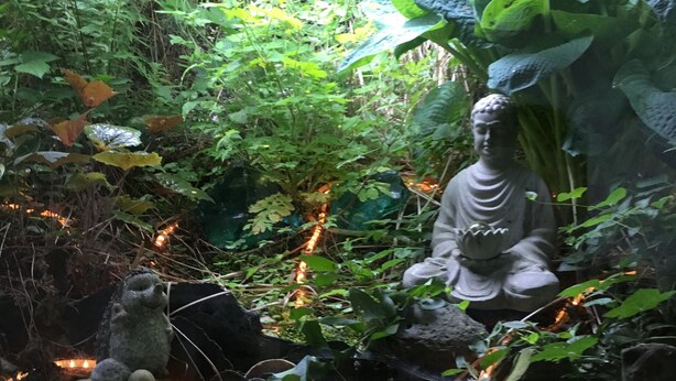 A serene garden with a Buddha statue, lush greenery, and decorative lights. - ____To Bachrauschen____Wohlfuelwohnung in the picturesque Ulm valley, 5km to the Lahn valley (Greifenstein-Ulm)