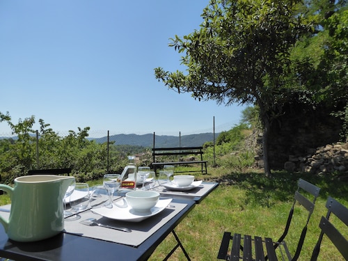 Ma vie là, entre vignes et Rhône