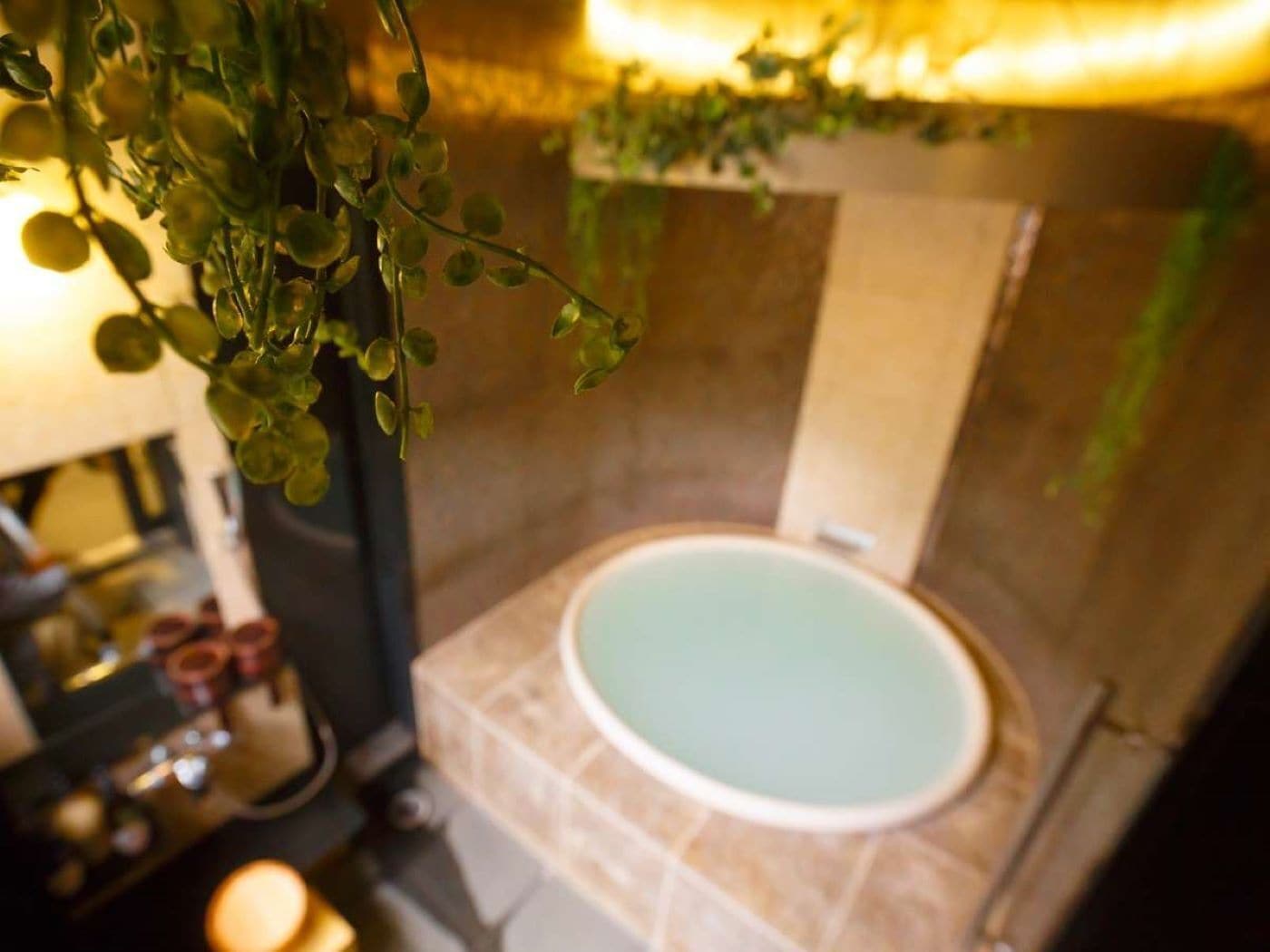 A bathroom with a bathtub, a mirror, and a plant.