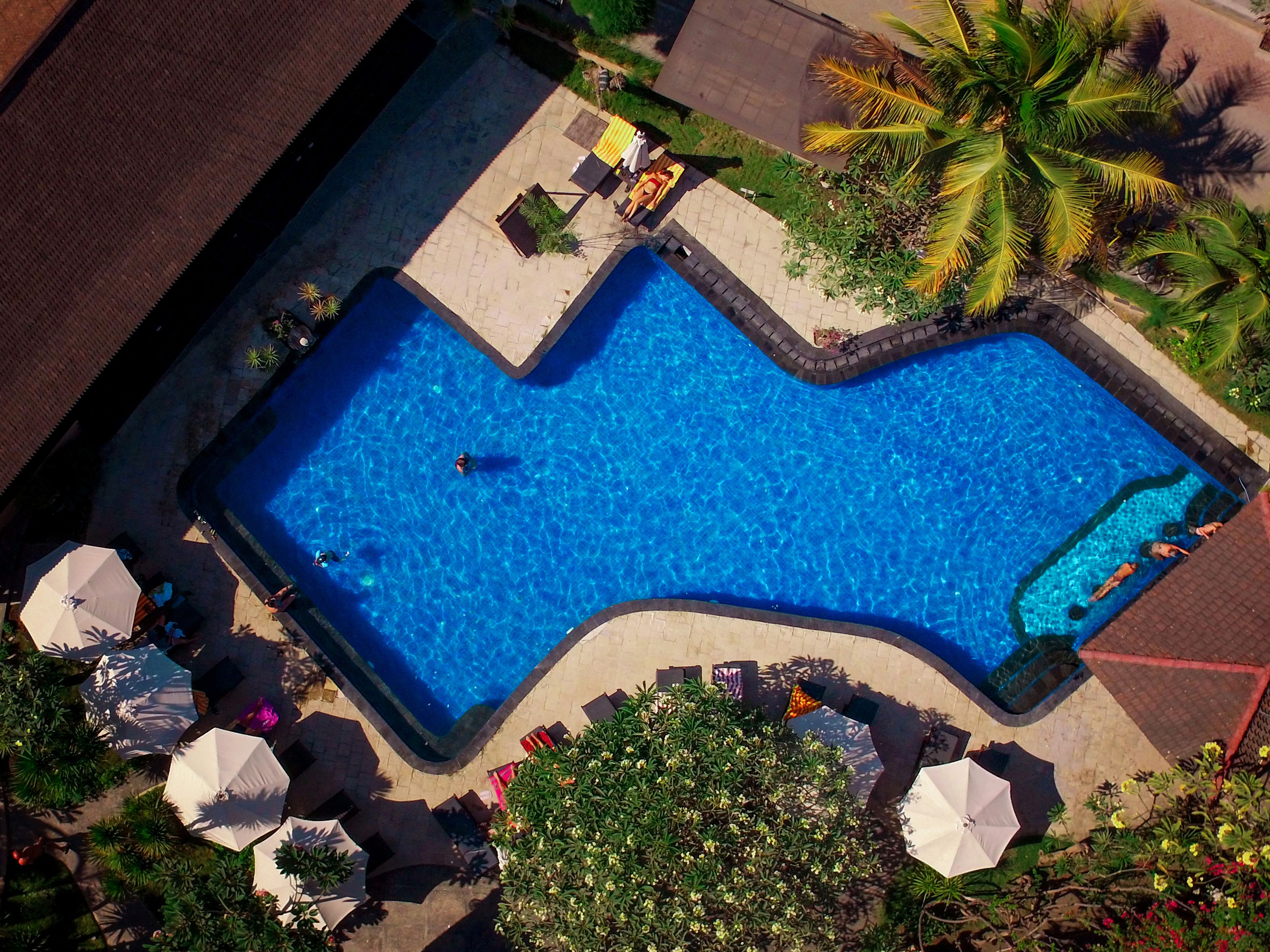 An aerial view of a swimming pool with a unique L-shaped design, surrounded by lounge chairs and umbrellas, and palm trees in the background.