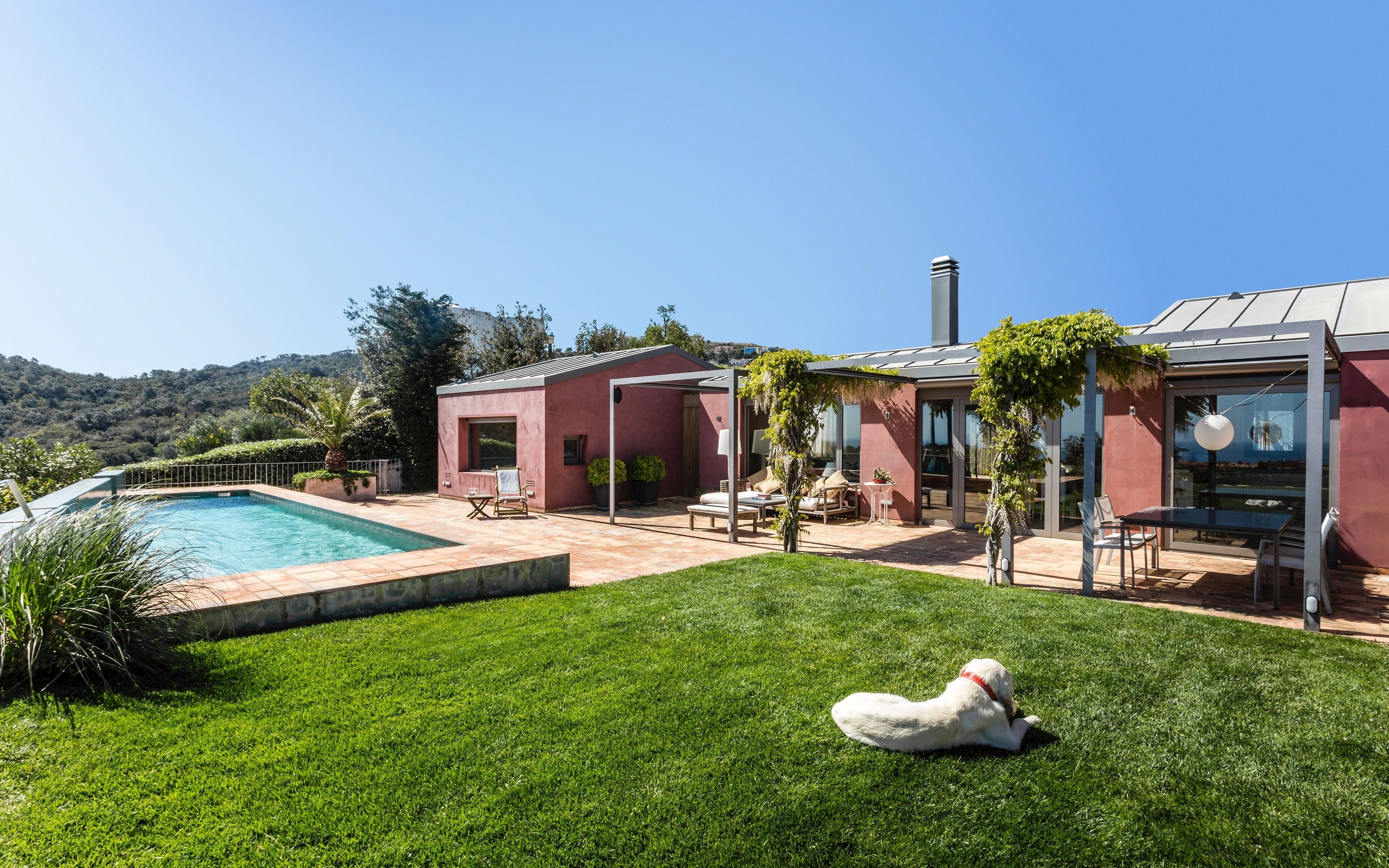 Una casa moderna amb piscina, gespa i un gos.