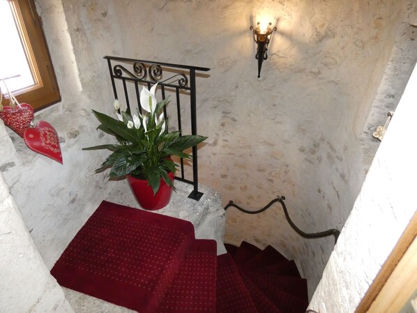 A staircase with a red carpet, a potted plant, and a wall-mounted light fixture.