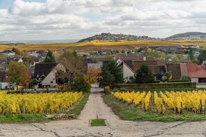 A vineyard path leading to a building with a sign reading "Domaine VERMEYER DUROX." - THE SAINT PERE SANCERRE LOGISTIC
