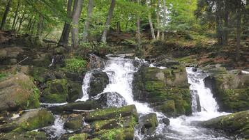 Une cascade naturelle, entourée de rochers et d’arbres.