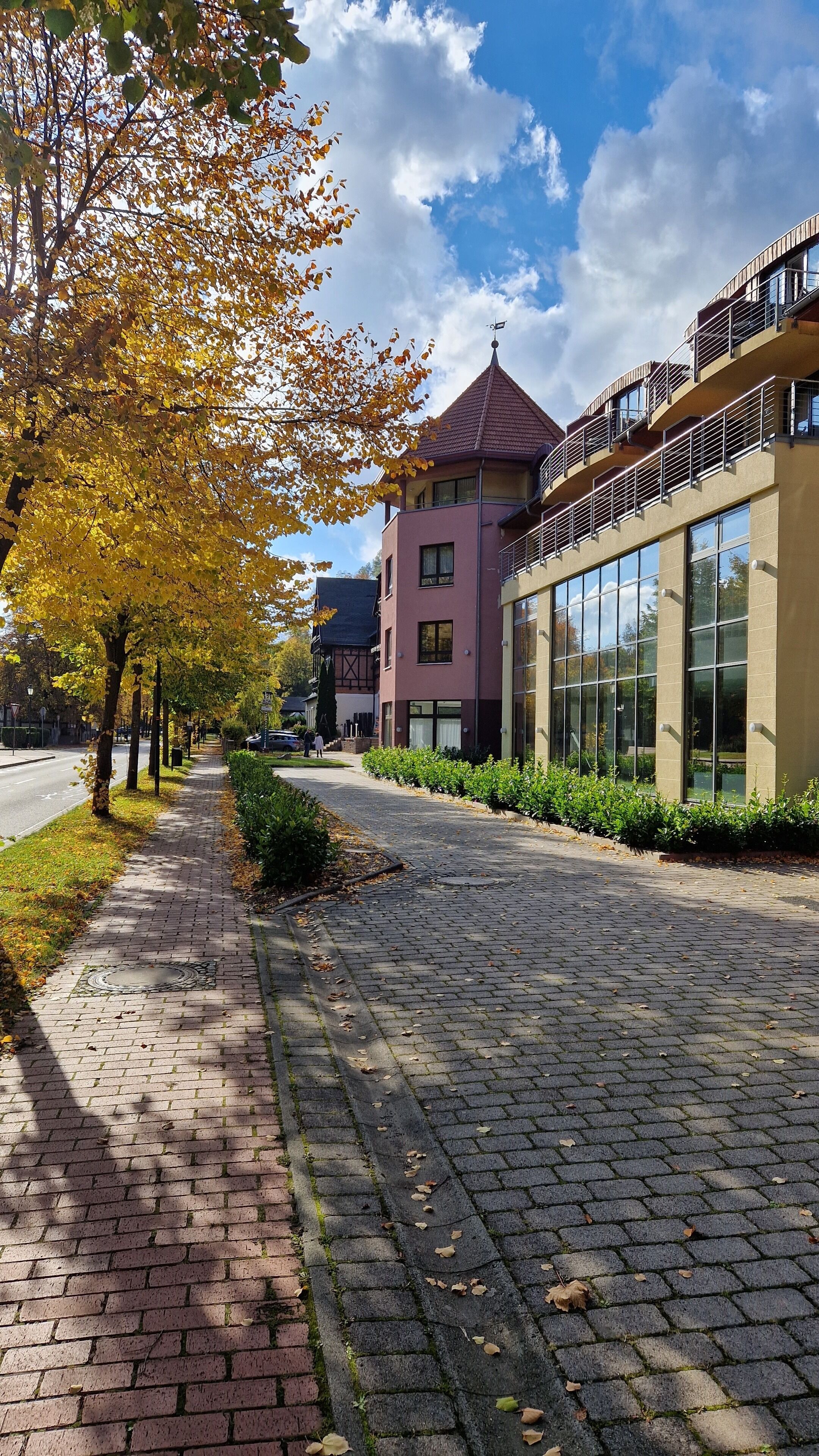 A paved walkway with trees displaying autumn foliage, a building with a red roof, and large windows.