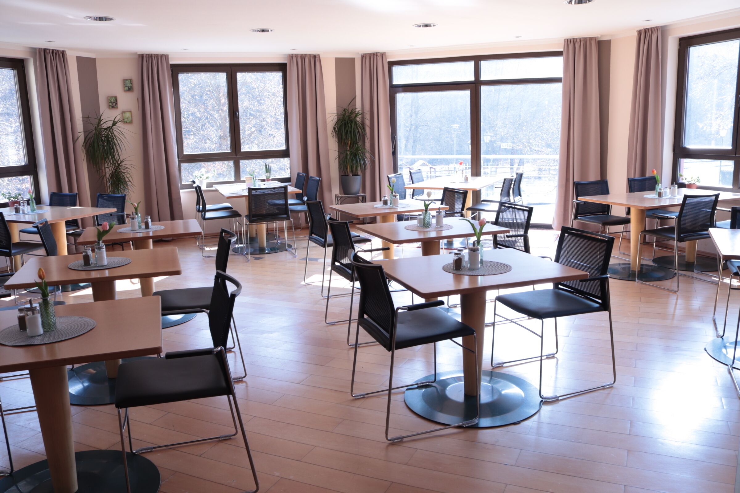 A spacious dining area with multiple tables and chairs, large windows with curtains, and potted plants.