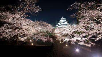 Una pagoda japonesa tradicional con tejados escalonados, rodeada de cerezos en flor de noche.