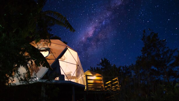 A geodesic dome structure with a telescope, surrounded by trees, under a starry night sky. - Bubble Dome Village- Glamping (Saint-Joseph)