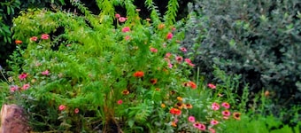 Casa da Escola.  Galicia Rias Bajas. Ideal for families.