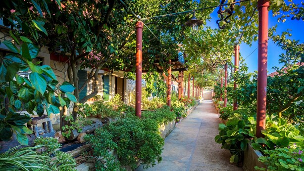 Un stretto sentiero in pietra, costeggiato da vegetazione rigogliosa e colonne rosse, conduce a un edificio dallo stile architettonico tradizionale.
