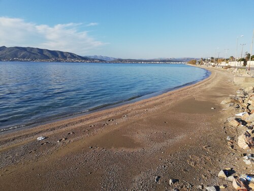 Salamina's Apartment