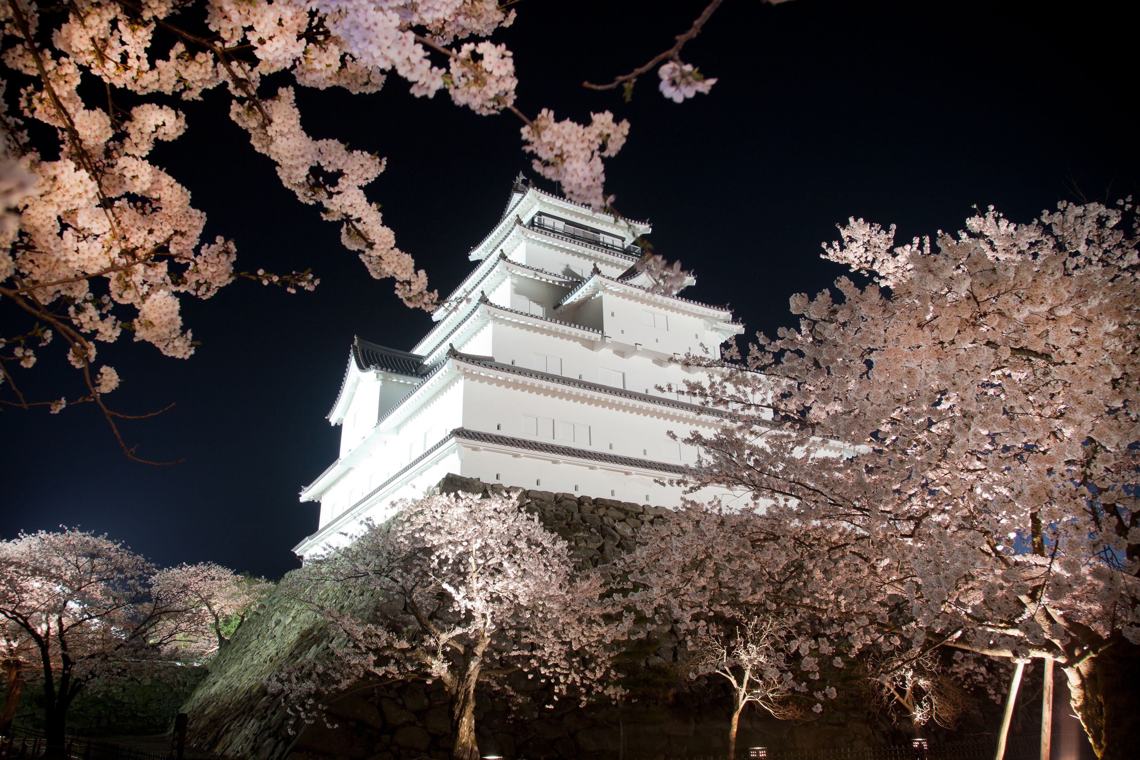 A traditional Japanese castle with multiple tiers and a stone base, surrounded by cherry blossom trees.