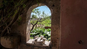 Property grounds - VilleSalento - Arnesano M313 (Arnesano)