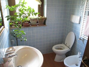Bathtub
