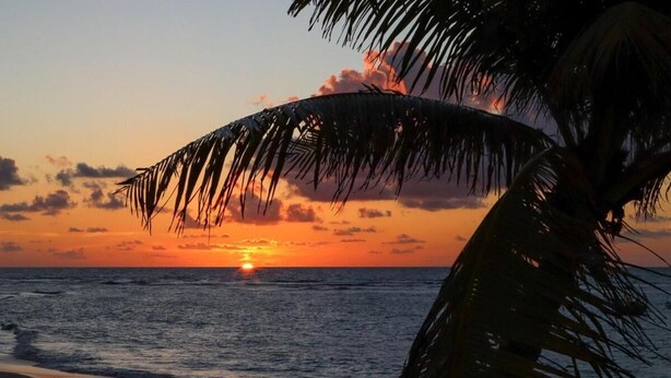 A sunset over the ocean with palm trees silhouetted against the sky. - Pousada Praia de Guarajuba (Camaçari)