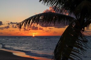 A sunset over the ocean with palm trees silhouetted against the sky. - Pousada Praia de Guarajuba (Camaçari)