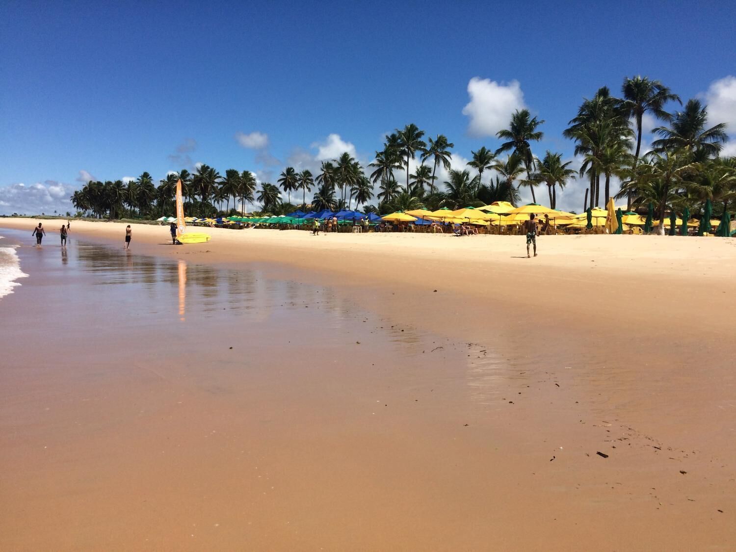Een strand met palmbomen, parasols en mensen die langs de kust lopen.