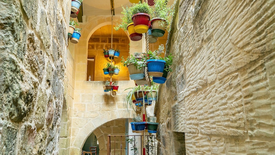 Ta' Pinu Bed & Breakfast