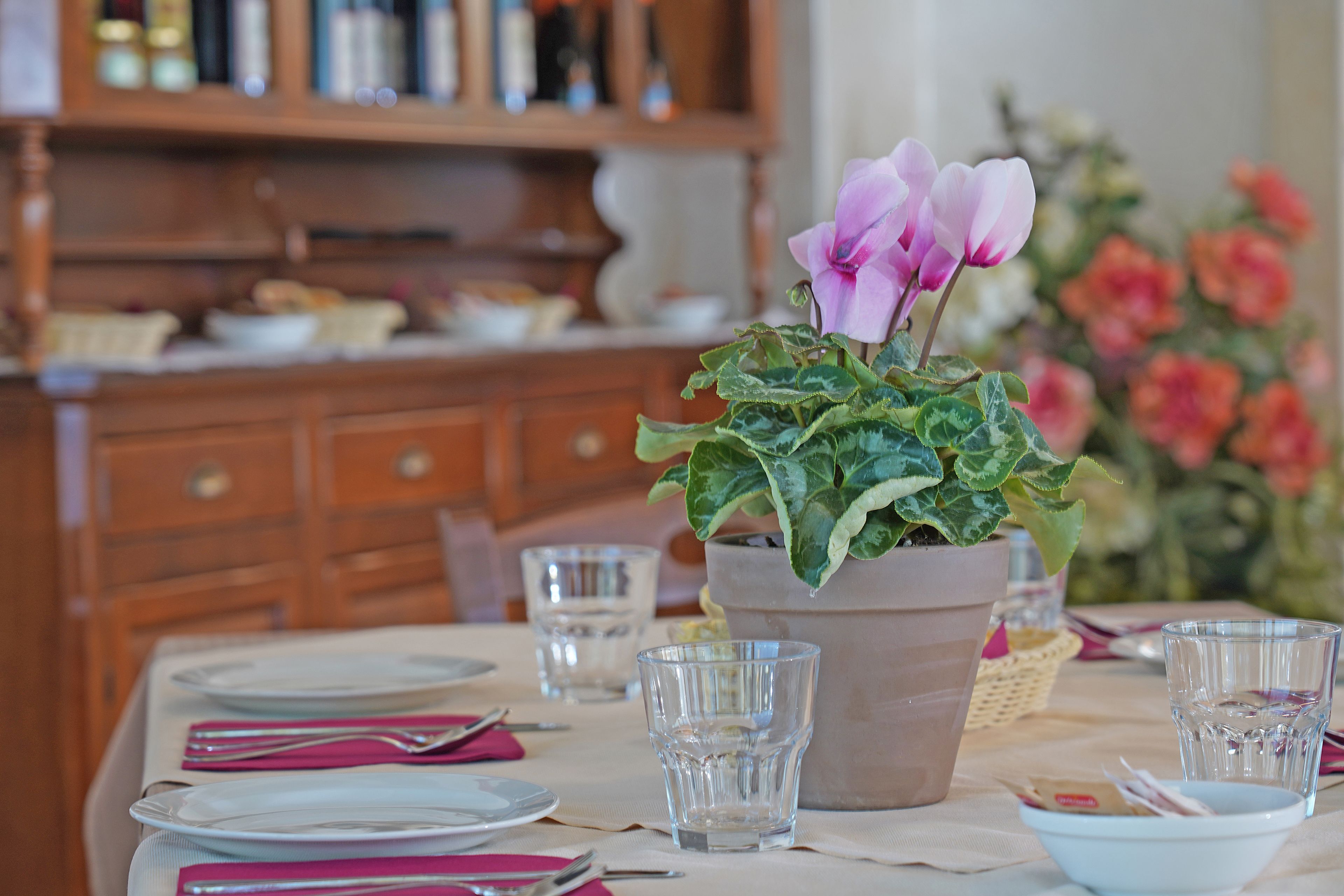 Een eettafel gedekt met borden, glazen en een potplant met roze bloemen.
