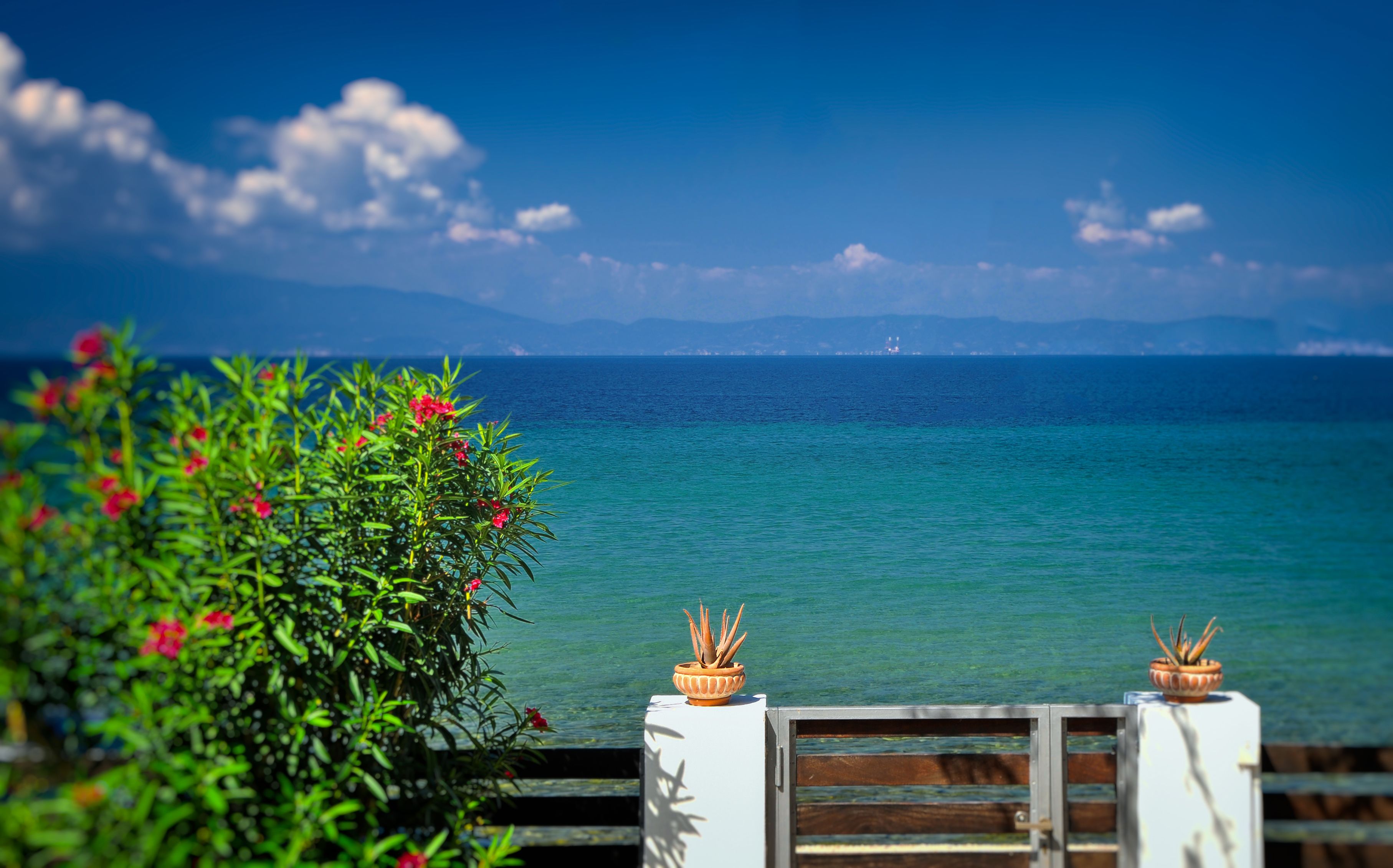 A coastal view with a wooden railing, potted plants, and a clear blue sea.
