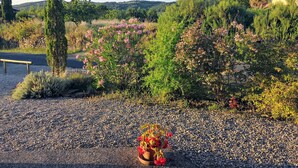 A garden with gravel paths, various shrubs, and a bench. - PROHE MIREPOIX EXCEPTIONAL VIEW OF PYRENEES (Tréziers)
