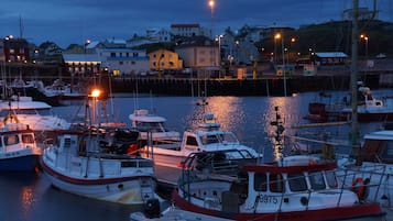 Dock