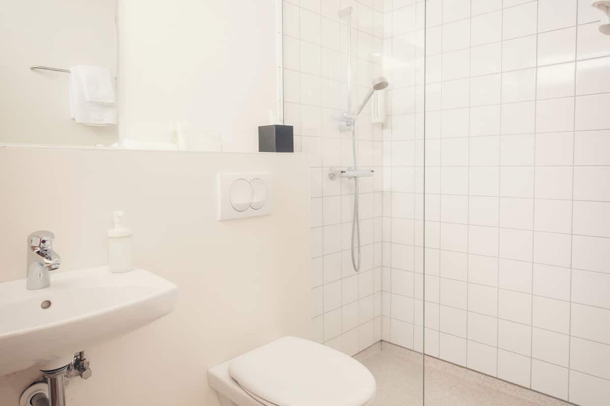 single room, private bathroom | bathroom | shower, free toiletries, hair dryer, towels