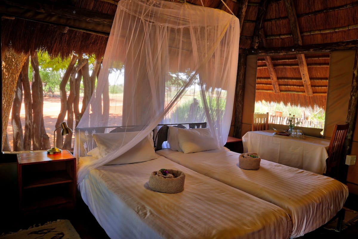 Una habitación con dos camas, mosquitera, mesita de noche y vistas a árboles.