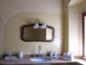 Combined shower/tub, hair dryer, bidet, towels