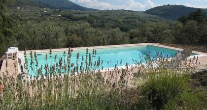 Villa con piscina en las colinas de Florencia a 25 km de Florencia