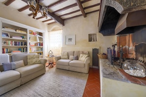 TV, fireplace, books